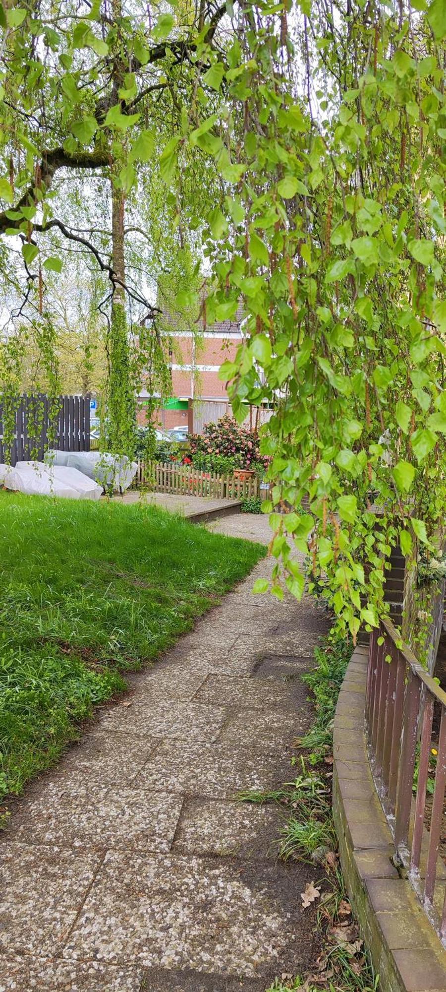 Ferienwohnung Im Herzen Der Lueneburger Heide Soltau Luaran gambar